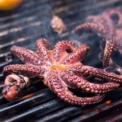 Pulpo Cocido KingFish 1kg.