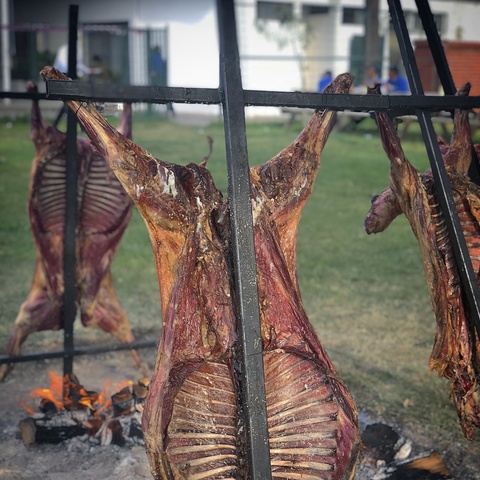 Cordero Entero Magallánico | Meatme - Club de Carnes