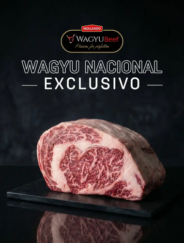 BDH WAGYU MOLLENDO18:06:26 .webp