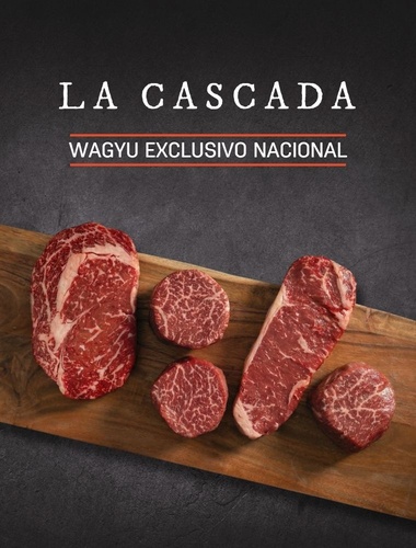 banner desktop home 18:03:26.jpg