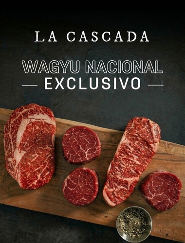 banner desktop home LACASCADA 8:04:26.jpg