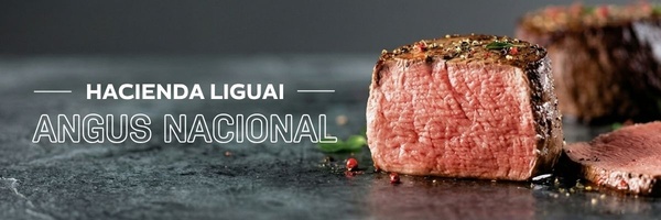 banner mobile home  haciendaliguai 08:04:26.jpg