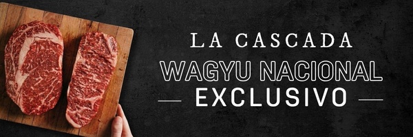 banner mobile home final LACASCADA 8:04:26.jpg