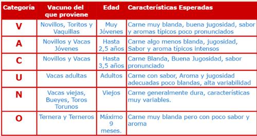 La Calidad de la Carne en Chile